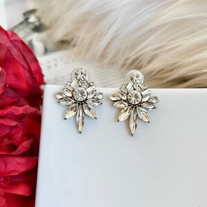 ✨New Elegant Silver Crystal Stud Earrings